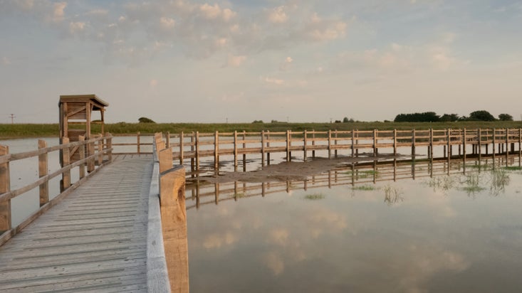 Wooden boardwalks at Sandilands Nature Reserve.